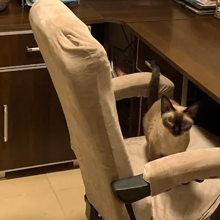 W Wilanowie Accommodatie bij particulieren