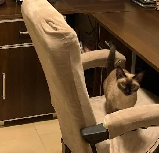 W Wilanowie Privat bolig